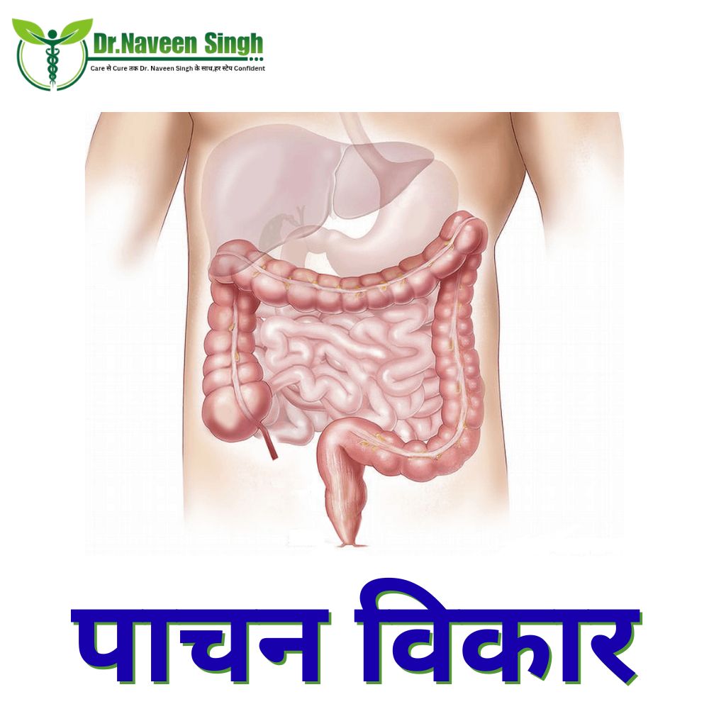 पाचन विभाग